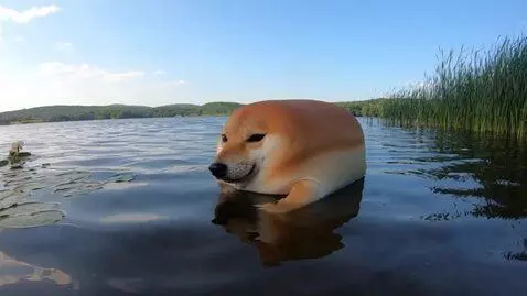 AI Video from prompt: this creature in the lake sitting