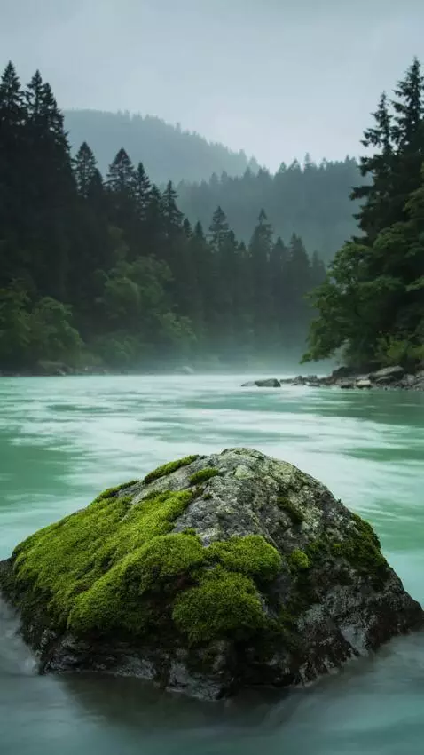 AI Video from prompt: Cinematic daytime northern forest river, inspire