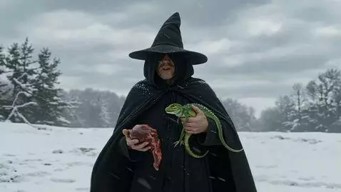 AI Video from prompt: A wizard in a blizzard and a gizzard and says "a