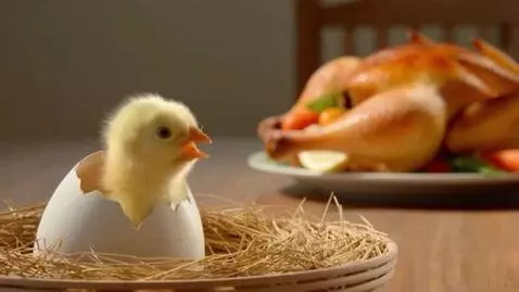 AI Video from prompt: Baby chicken hatch and see roasted chicken on th
