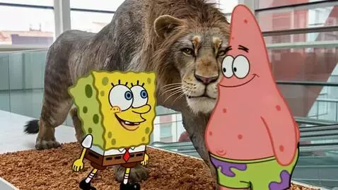 AI Video from prompt: An yellow sponge name Spongebob And Pink star na