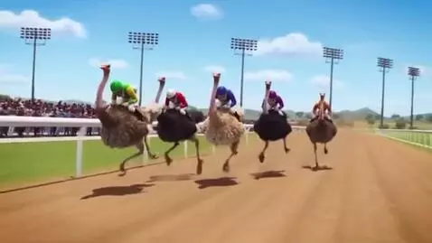 AI Video from prompt: Six Ostrich Race