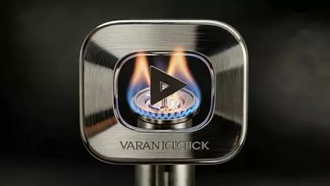 Seedance 1.5 Pro video