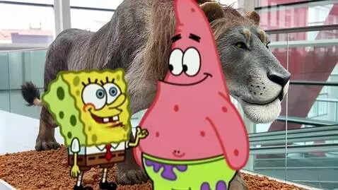 AI Video from prompt: A Spongebob talking to a Patrick Loves Eurasian 
