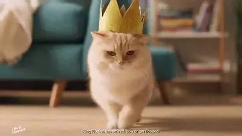 AI Video from prompt: Create a 15-second vertical YouTube Short, 9:16 