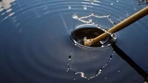 AI Video from prompt: A drumstick strikes the surface of a puddle that