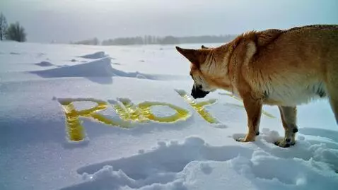 AI Video from prompt: - Constraints: 16:9 horizontal, professional dig