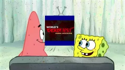 AI Video from prompt: Spongebob And Patrick Watches World's Deadliest 