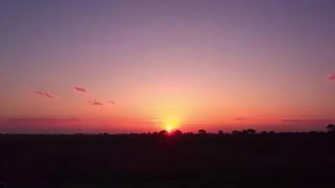 AI Video from prompt: Video of sunset on the field