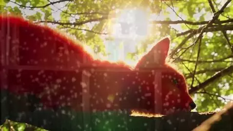 AI Video from prompt: A cinematic, impressionistic video sequence shot