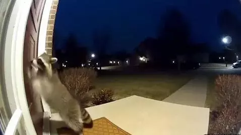 AI Video from prompt: security camera footage of a house entrance at n