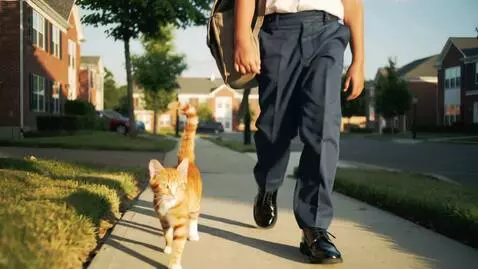 AI Video from prompt: Create a boy walking home from school with his c