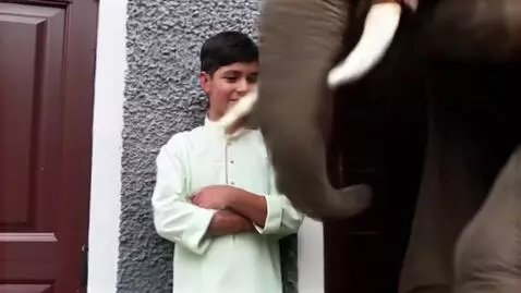 AI Video from prompt: this boy dancing with a elephant and laughing to