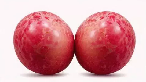 Kling 1.0 (standard) video