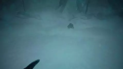 AI Video from prompt: A horizontal video in Russian with a first-perso