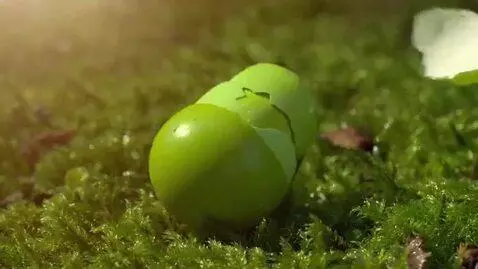 AI Video from prompt: generate a video that starts with a green small 