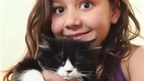 AI Video from prompt: emotional celebration atmosphere, cinematic 3D a