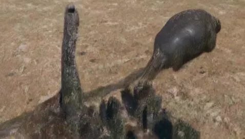 AI Video from prompt: Sucks big black pines