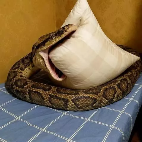 AI Video from prompt: The girl thrusts a sharp knife deep into the pil