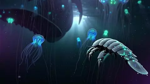 AI Video from prompt: The darkest part of the ocean abyss, strange glo