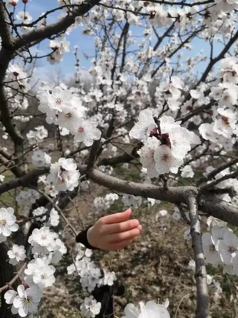 AI Video from prompt: How much you can make with ByteLixir: Step-by-st