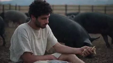 AI Video from prompt: The story of the prodigal son