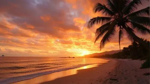 AI Video from prompt: Sunset beach, palm tree