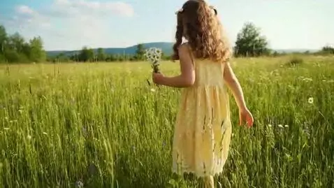 AI Video from prompt: A little girl walks in the meadow ( 30 seconds )