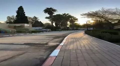 AI Video from prompt: camera slowly goes underground, cutaway view, se