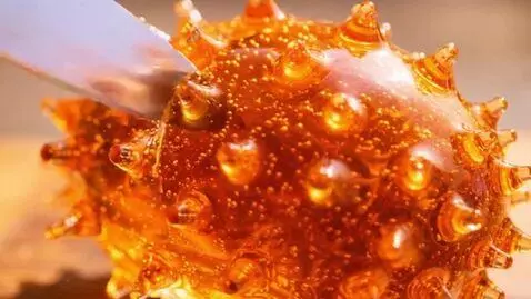 AI Video from prompt: Nice and slowly cut this kiwano made of glass an