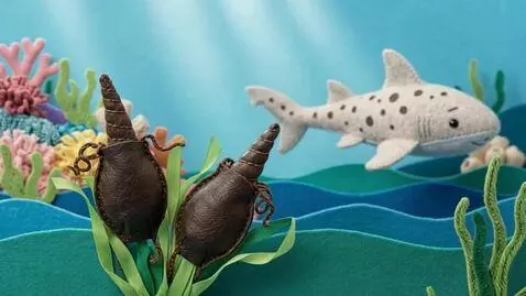 AI Video from prompt: 3D sewn-felt stop-motion style. The ribbon seawe