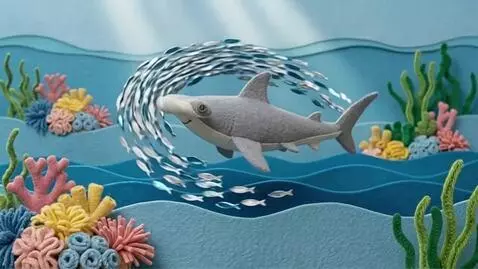 AI Video from prompt: 3D sewn-felt stop-motion style. The Hammerhead s