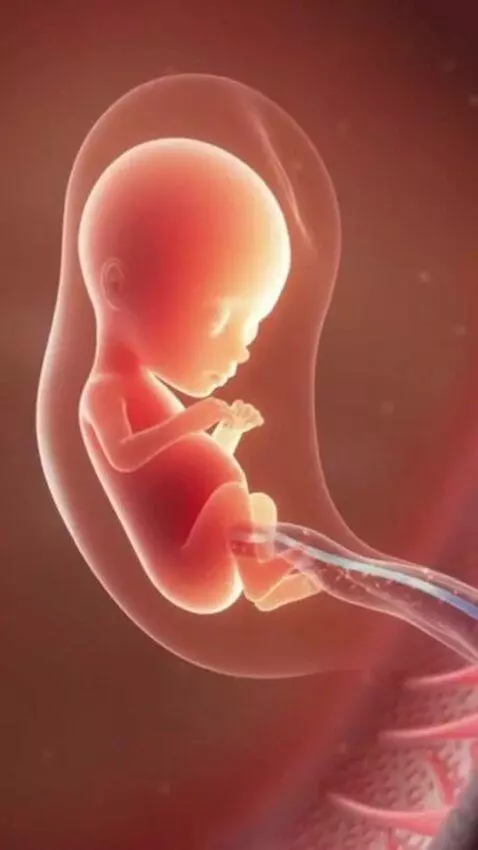 AI Video from prompt: 3D medical animation showing a baby inside the w