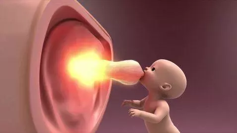 AI Video from prompt: 3D medical animation showing a baby inside the w