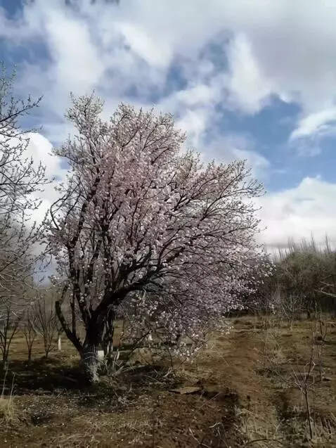 AI Video from prompt: EurodacerEurodacer