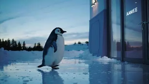 AI Video from prompt: A cinematic trendy AI video, a cute penguin walk