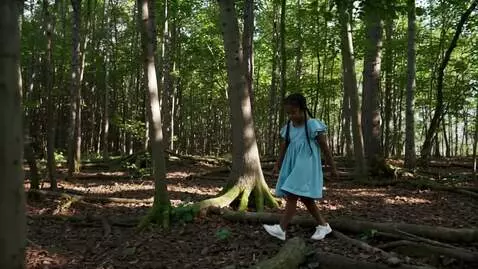 AI Video from prompt: A girl walks in the woods
