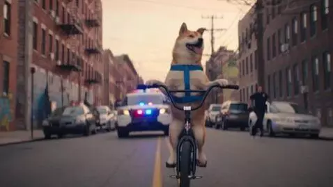 AI Video from prompt: dramatic cinematic, funny, viral vertical chaoti