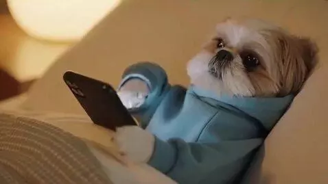 AI Video from prompt: dramatic cinematic, funny, viral vertical chaoti