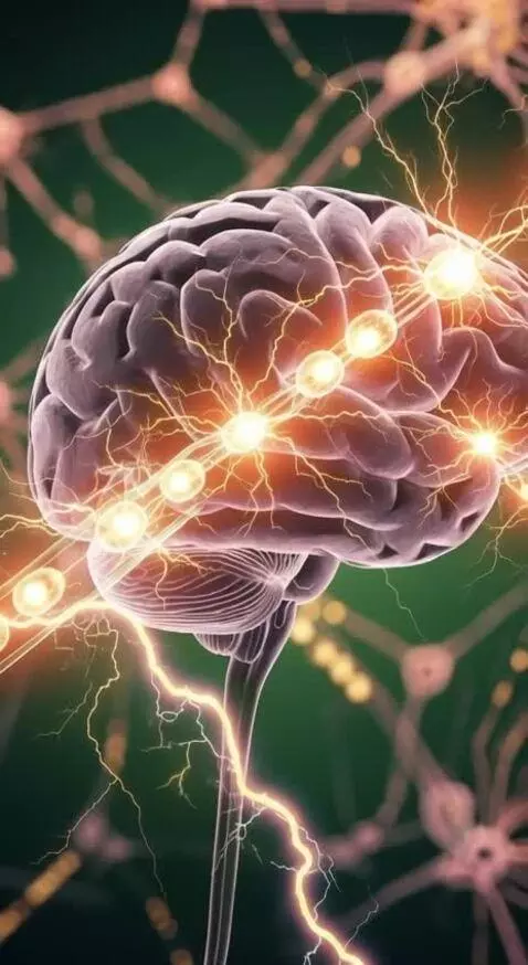 AI Video from prompt: Brain Activity Boost 5–7 seconds: Close-up of br