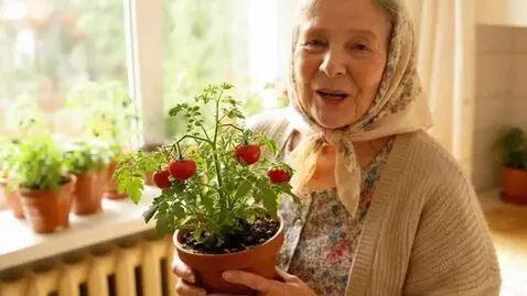 AI Video from prompt: A highly realistic, cinematic indoor scene featu