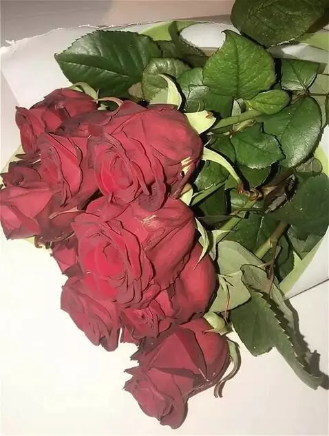 Wan 2.5 Preview video