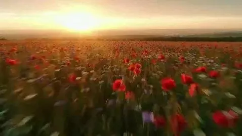 AI Video from prompt: Aerial drone shot, high-speed flyover above an e