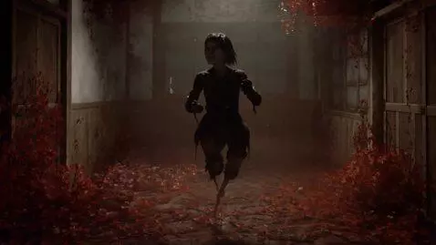 AI Video from prompt: In the photo, the human figure disappears, the r