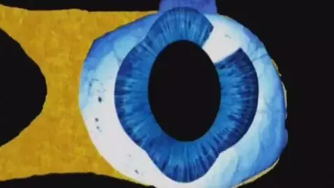 AI Video from prompt: a chaotic remix styled video featuring a talking