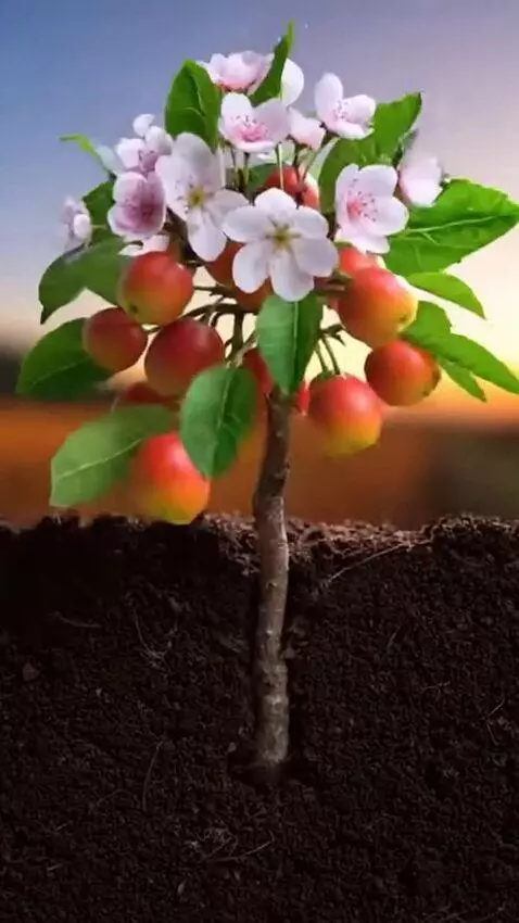 AI Video from prompt: "A cinematic, photorealistic time-lapse of a sin