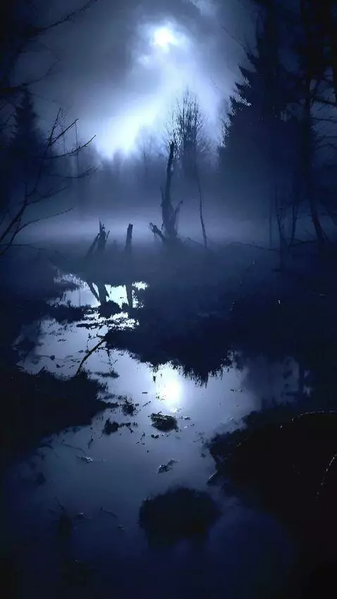 AI Video from prompt: A camera slowly turns around and shows the panor