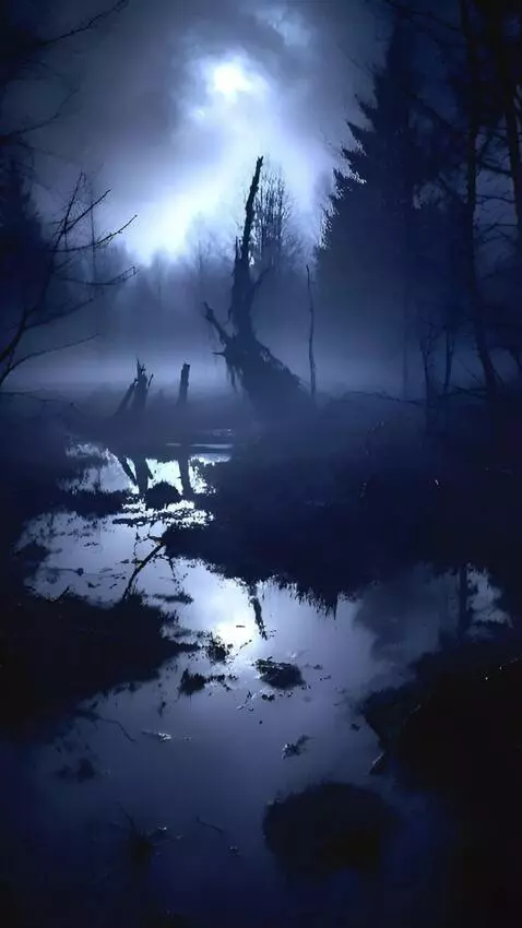 AI Video from prompt: Ano Orkney from the Lord of the Ring comes of th