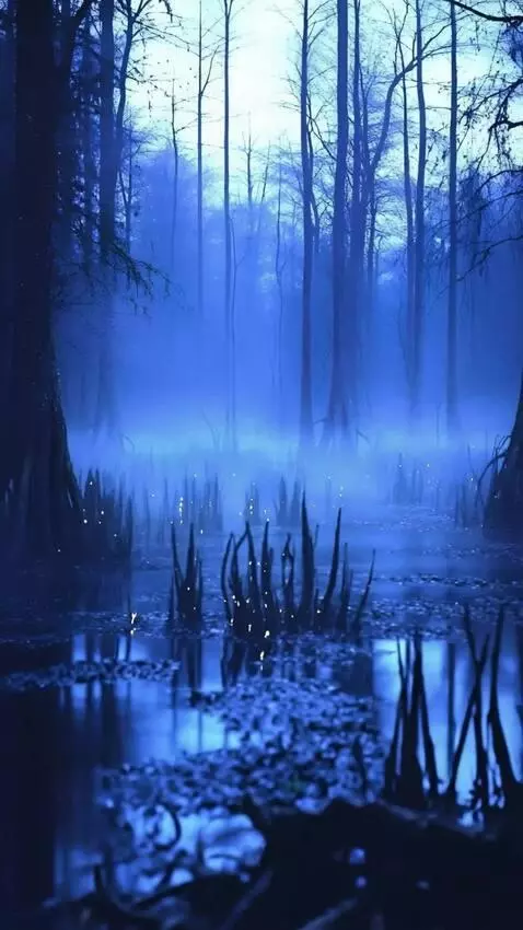 AI Video from prompt: The camera rotates around and shows a 360-degree