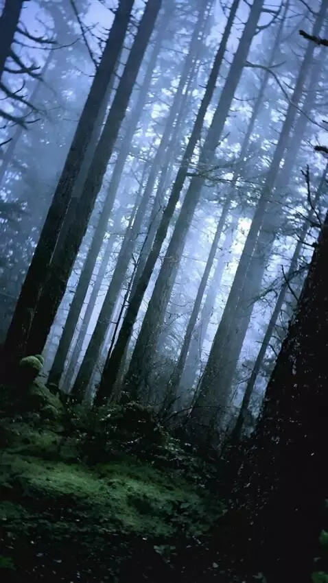 AI Video from prompt: The camera rotates around and shows a 360-degree